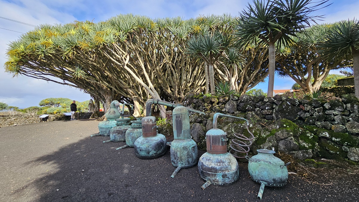 L’isola vulcanica tra Boston e Lisbona che narra storie di lava e di vini, un tempo apprezzati anche dagli zar di Russia