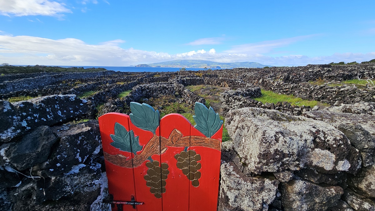 L’isola vulcanica tra Boston e Lisbona che narra storie di lava e di vini, un tempo apprezzati anche dagli zar di Russia