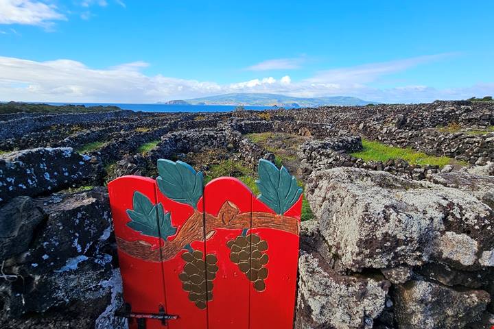 L’isola vulcanica tra Boston e Lisbona che narra storie di lava e di vini, un tempo apprezzati anche dagli zar di Russia