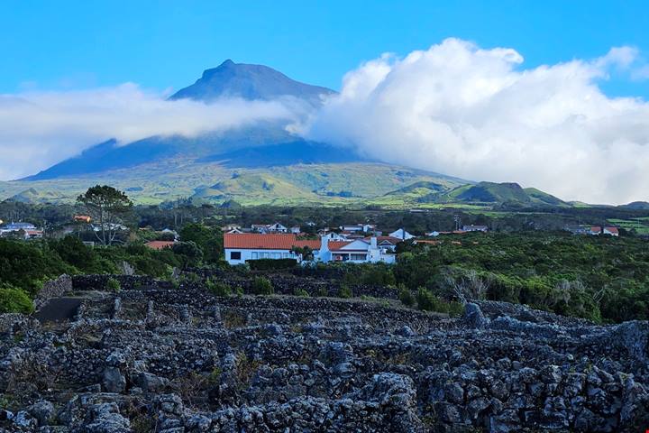 L’isola vulcanica tra Boston e Lisbona che narra storie di lava e di vini, un tempo apprezzati anche dagli zar di Russia