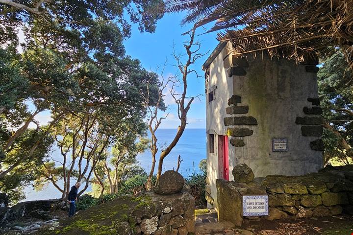 L’isola vulcanica tra Boston e Lisbona che narra storie di lava e di vini, un tempo apprezzati anche dagli zar di Russia