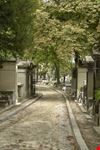 Viale del cimitero del Père-Lachaise