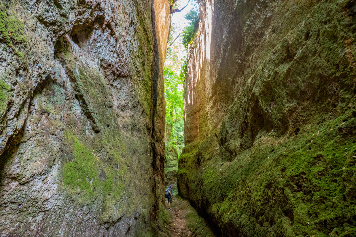 vie cave