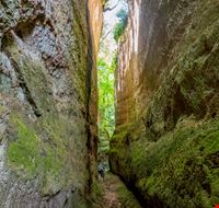 vie cave vie cave
