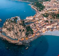 scilla scilla