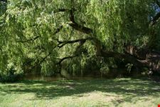 Vondelpark