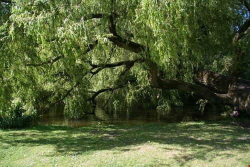 Vondelpark  Fonte: Vondelmol - Shutterstock Vondelmol - Shutterstock Vondelmol - Shutterstock