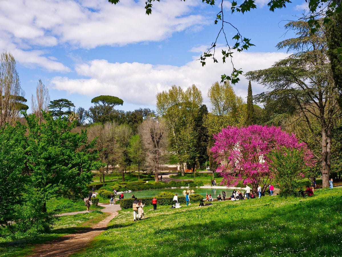 picnic in italia_2367598363