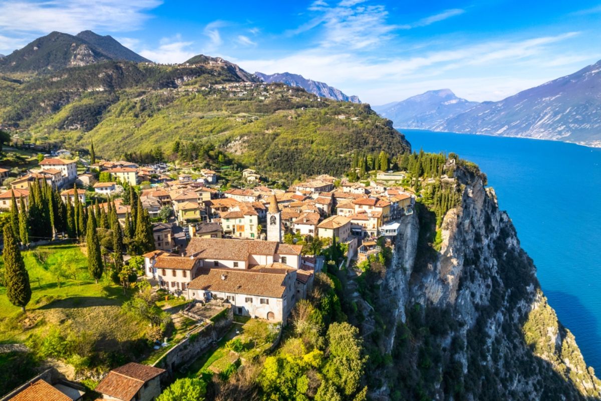 Tremosine