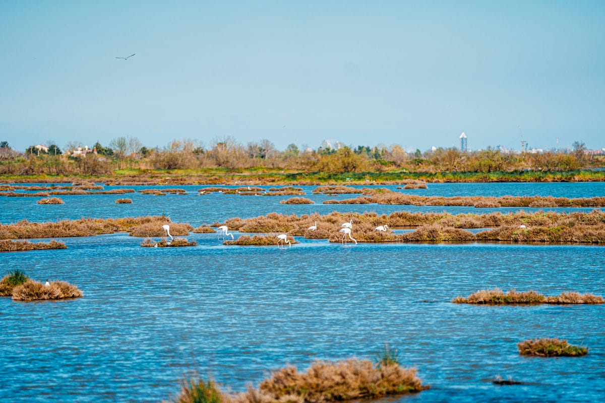 Il percorso verde che unisce le meraviglie del Veneto: la Greenway Treviso – Jesolo si scopre (anche) all’insegna dello shopping 