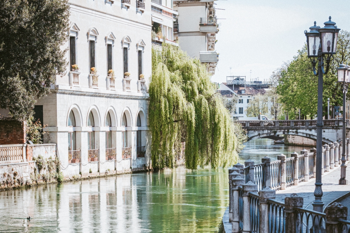 Treviso