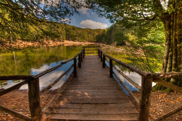Il suo nome trae in inganno ma la sua bellezza no: ecco dove si trova l'unica e sola Foresta Umbra che non si trova in Umbria