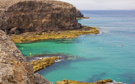 Papagayo Fonte: ©cristovao - Shutterstock ©cristovao - Shutterstock ©cristovao - Shutterstock