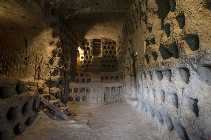 424012011200505_Orvieto_1704842902 (1)