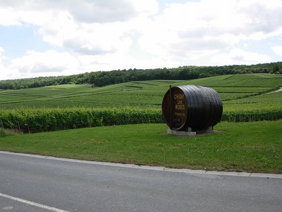 A spasso per i vigneti