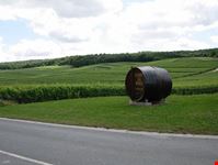 A spasso per i vigneti