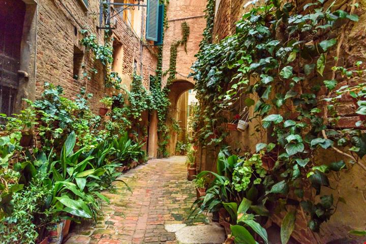 siena-vicolo-degli-orefici_1266908371