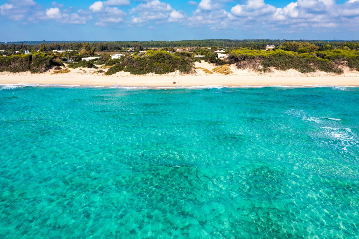 punta-prosciutto_2499811523