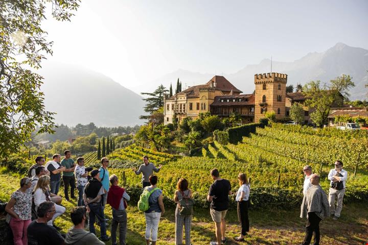 castelli-merano.jpeg
