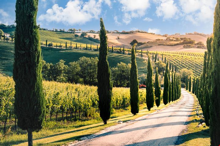 marche_1923589349