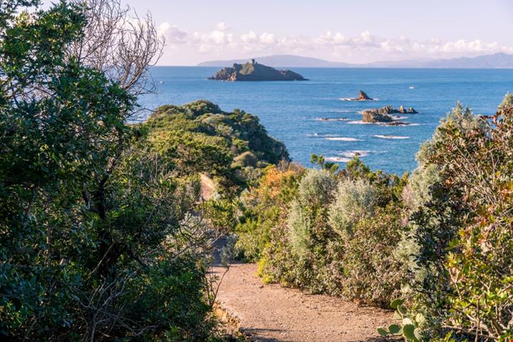 punta-ala_2568440781