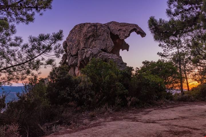 Ha la forma di un elefante: anche se non ci credi esiste davvero, ed è in Sardegna
