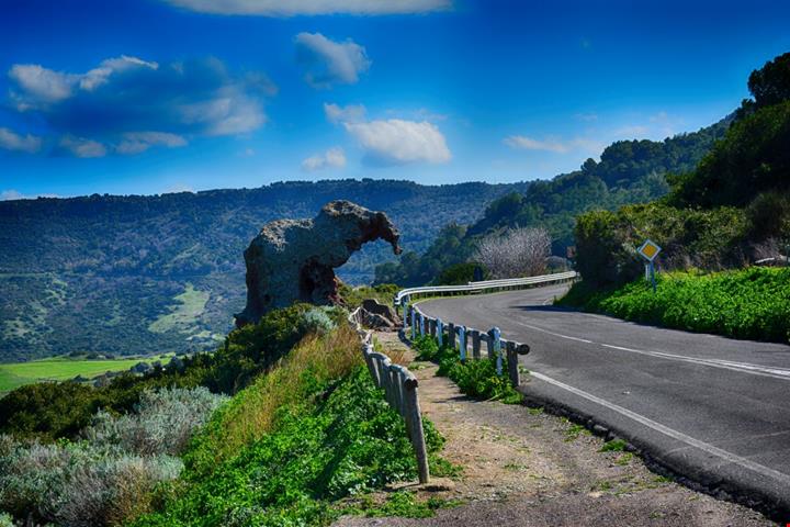castelsardo-elefante_583155553