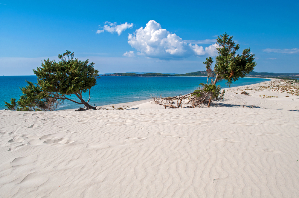 4 chilometri di sabbia bianchissima, dune di 30 metri mai uguali e acque caraibiche: c'è una italiana tra le spiagge più belle d'Europa, ed è a poche ore di volo