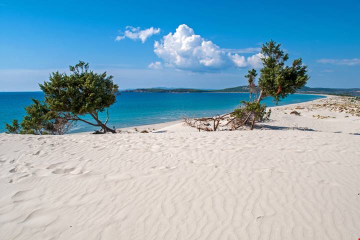4 chilometri di sabbia bianchissima, dune di 30 metri mai uguali e acque caraibiche: c'è una italiana tra le spiagge più belle d'Europa, ed è a poche ore di volo