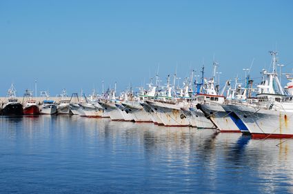 Il porto di Civitanova