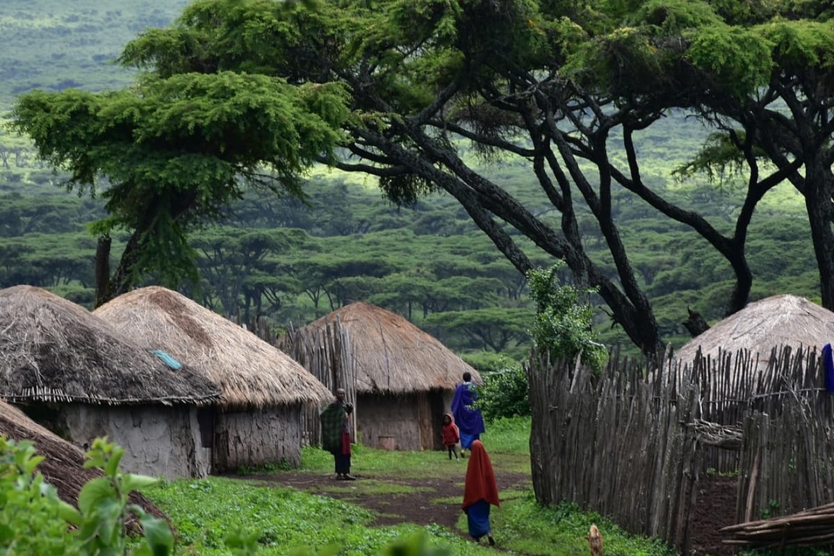 Tanzania e oltre: dove la natura racconta storie indimenticabili