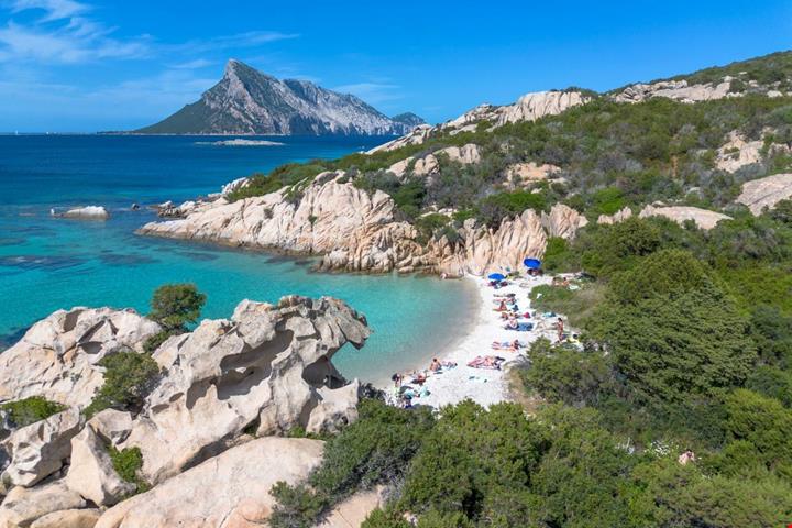 spiaggia-vacche