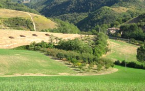 Dintorni di Castello di Serravalle