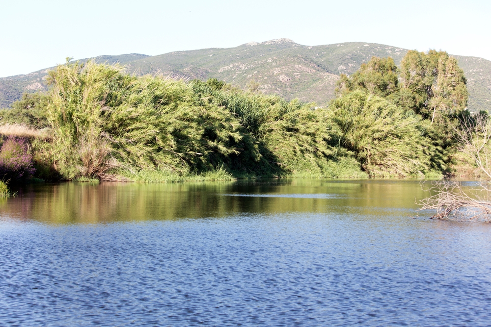 Sembra la Scozia ma siamo in Italia: questo è il gigante blu della Gallura, non solo mare in Sardegna