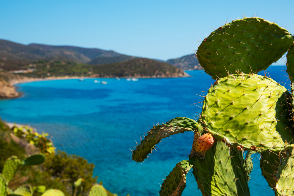 A 30 minuti da Cagliari c'è l'unica spiaggia del mare dipinto in Sardegna: 700 metri di magia