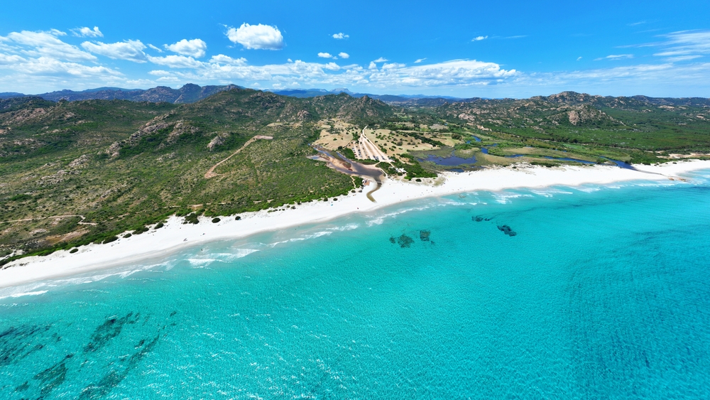 La spiaggia dove le mucche prendono il sole non è un fotomontaggio: esiste ed è in Italia