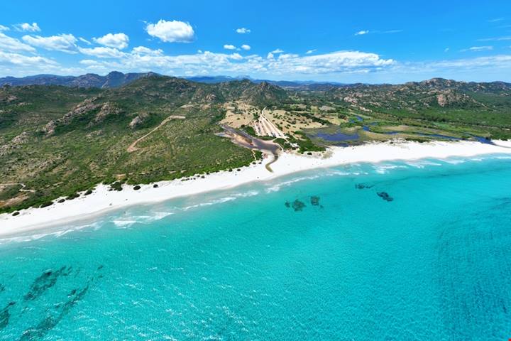 La spiaggia dove le mucche prendono il sole non è un fotomontaggio: esiste ed è in Italia