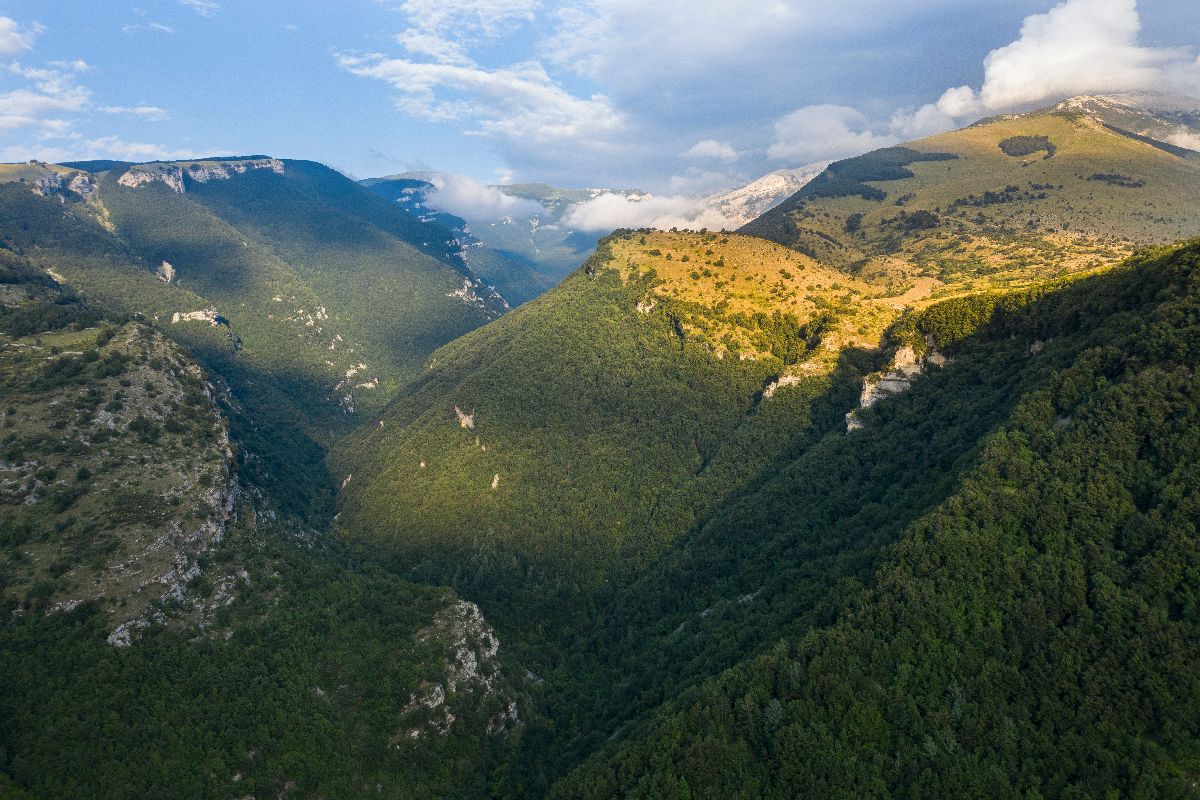 orfento_1796598883