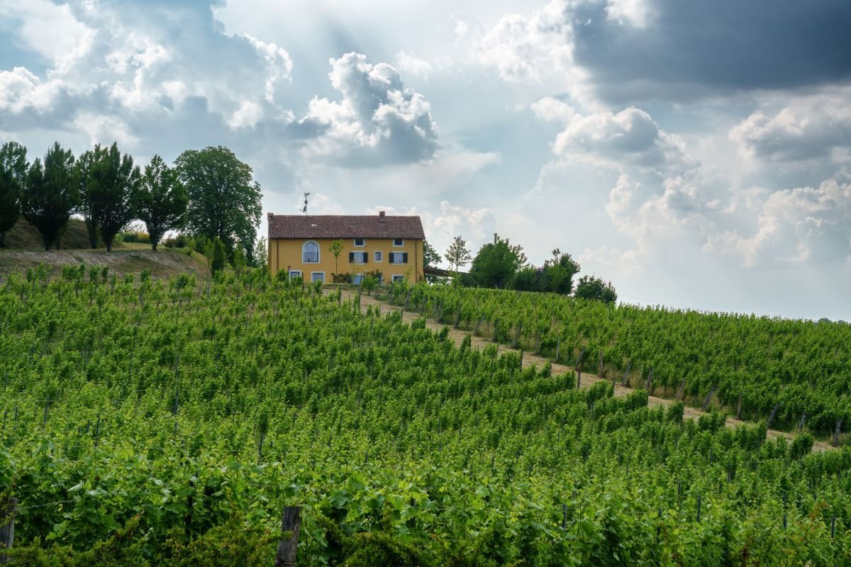 Nella valle più famosa del Piemonte ci sono le antiche cantine scavate nella roccia: hai mai visitato un infernot?