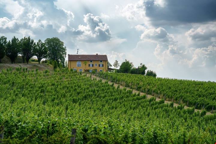 Nella valle più famosa del Piemonte ci sono le antiche cantine scavate nella roccia: hai mai visitato un infernot?