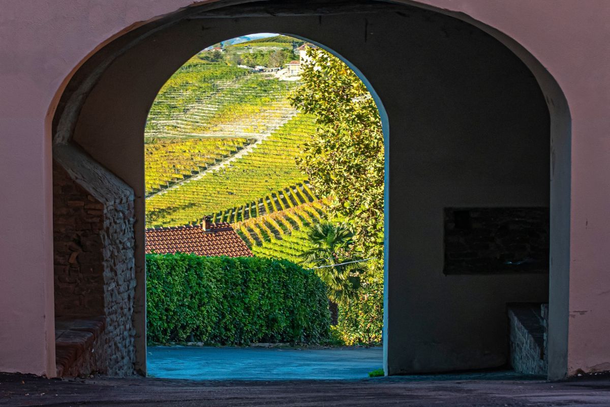 6 musei del vino in Italia e nel mondo che ti faranno scoprire mille curiosità su bicchieri, calici e bottiglie