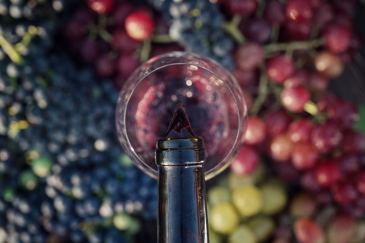 6 musei del vino in Italia e nel mondo che ti faranno scoprire mille curiosità su bicchieri, calici e bottiglie