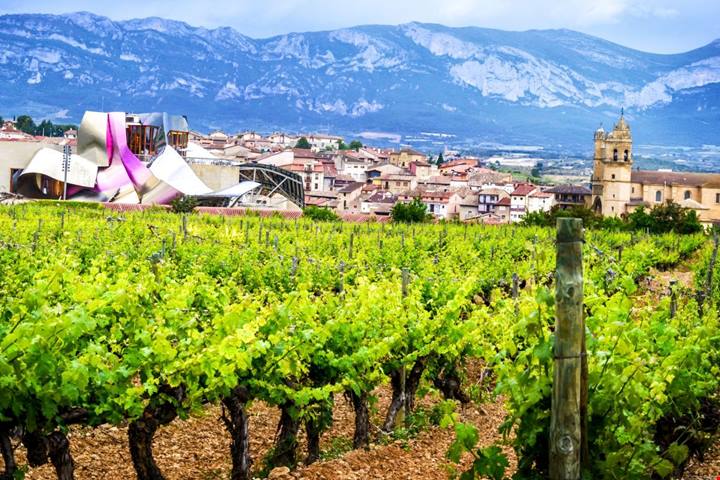 6 musei del vino in Italia e nel mondo che ti faranno scoprire mille curiosità su bicchieri, calici e bottiglie
