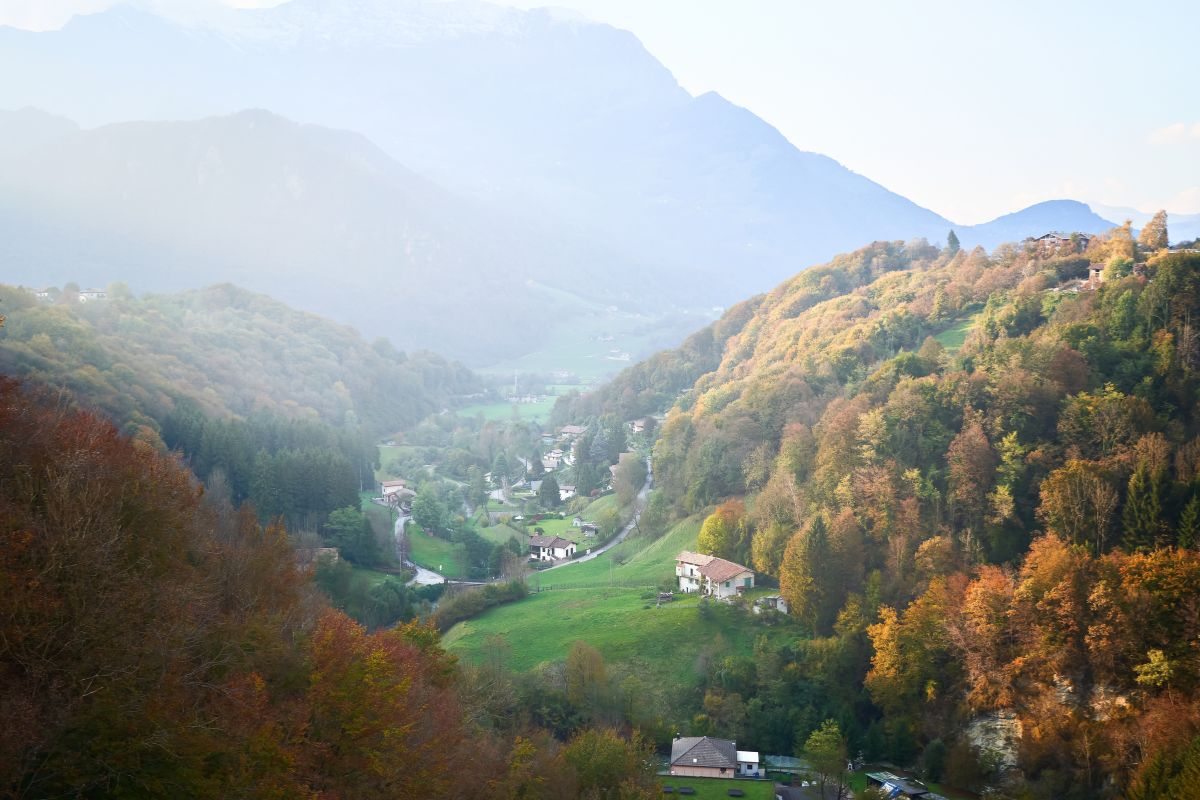 morterone