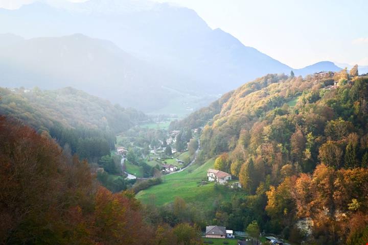 morterone