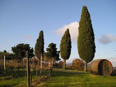chianti