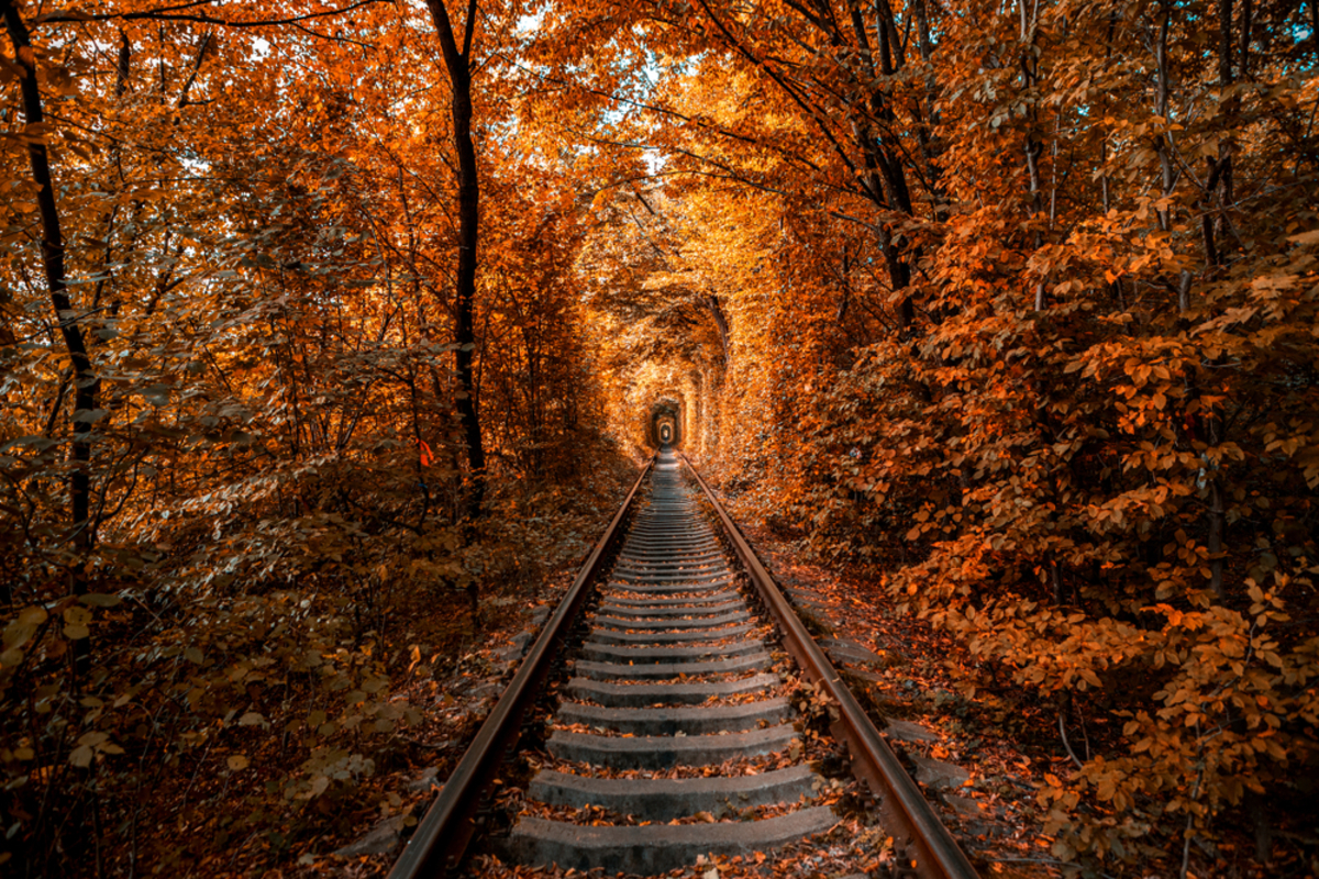 treno-foliage-percorso