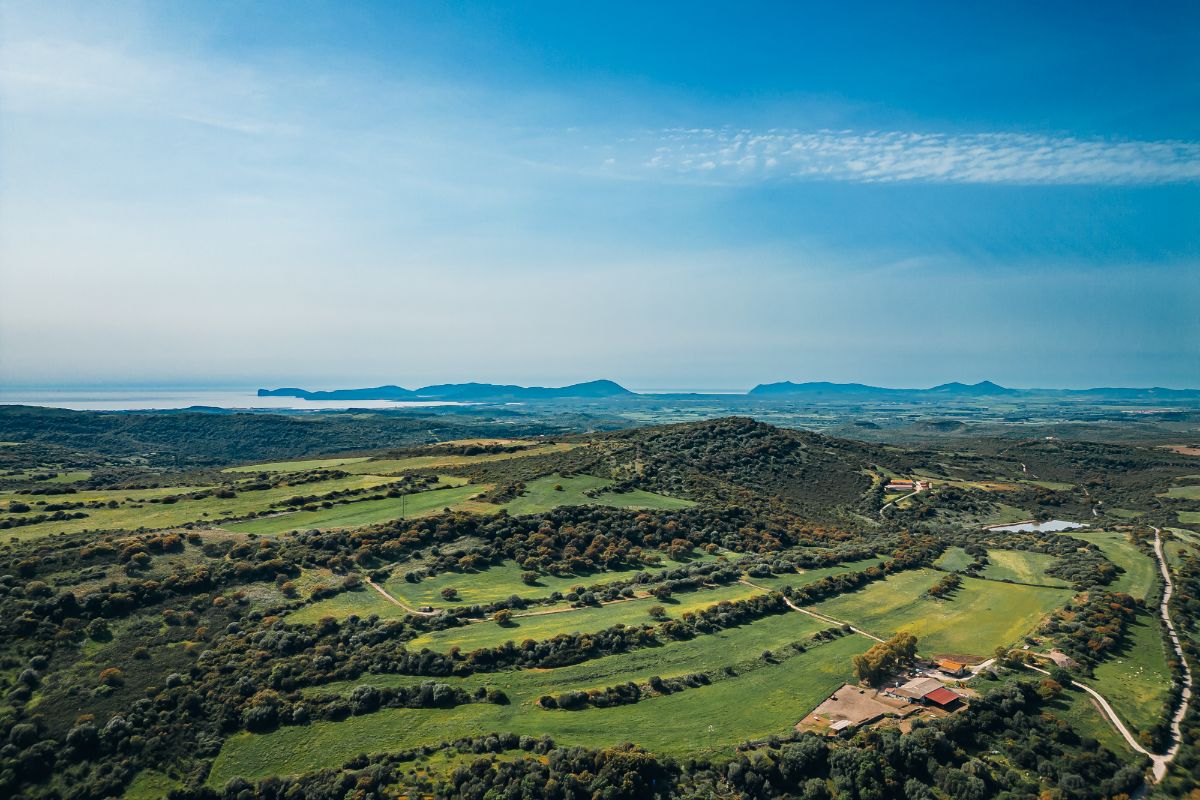DJI_0584 (1)