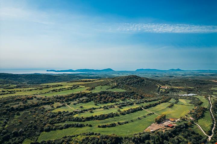 DJI_0584 (1)