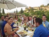 greve in chianti degustazione in vigna